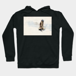 Watercolor Bald Eagle in Flight Hoodie